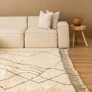 Moroccan rugs . preview