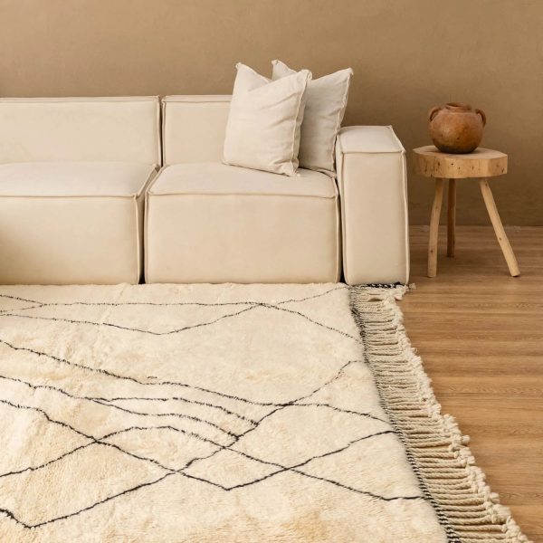Moroccan rugs . preview